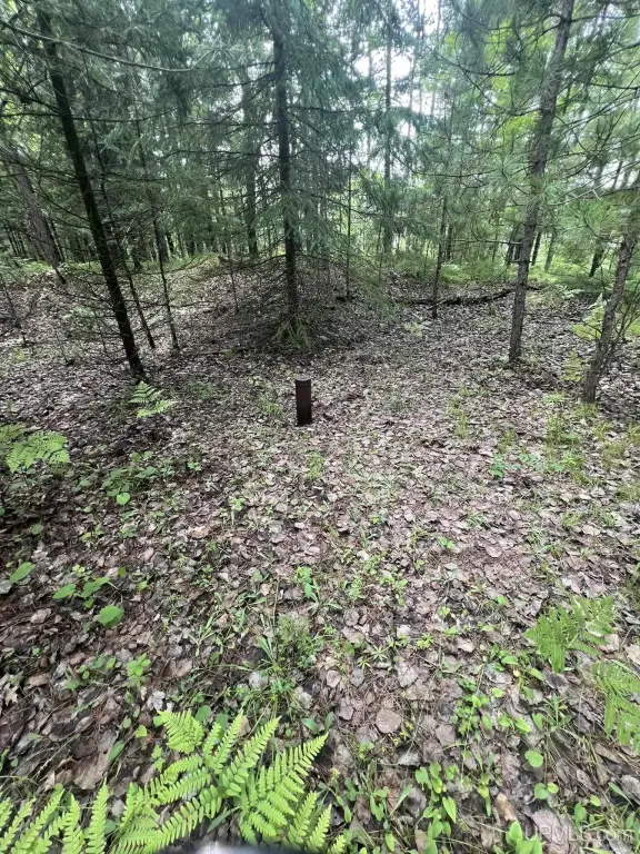 Picture 9
