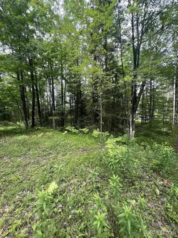 Picture 3