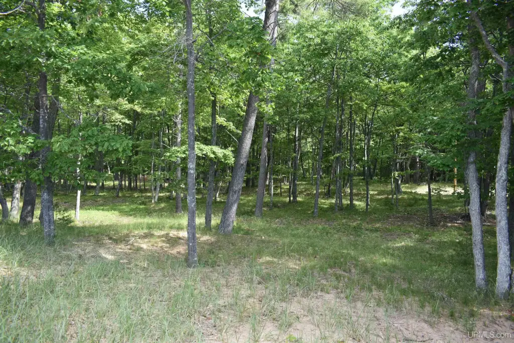 Picture 10