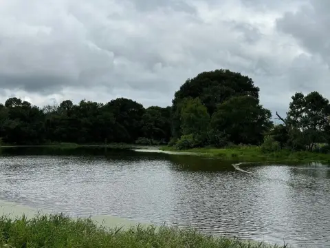 Historic 223-Acre Texas Land Tract