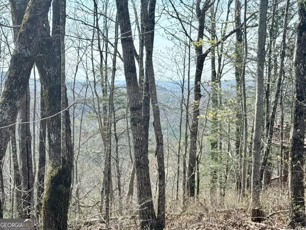 Picture 17