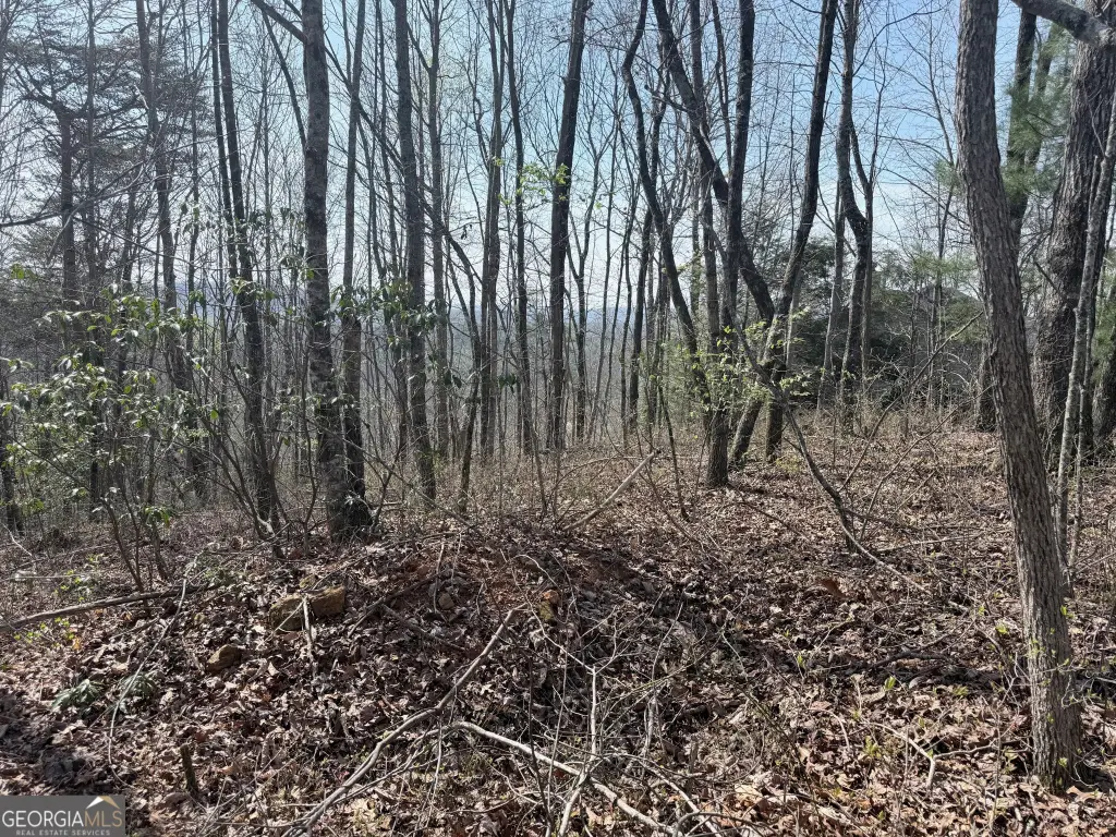Picture 25
