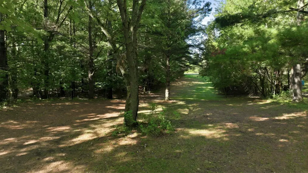 Picture 5