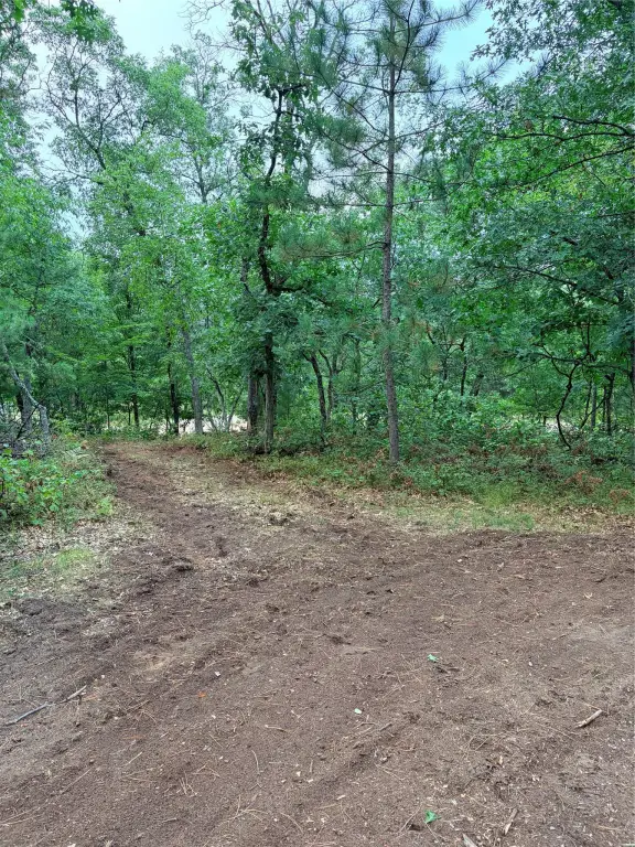Picture 9