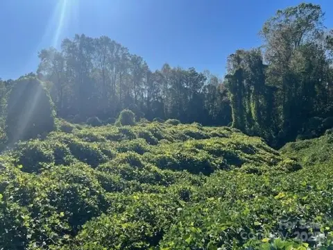 Highway Frontage Commercial Land