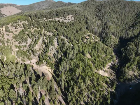 Montana Land Near National Forest