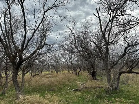 Versatile 13-Acre Texas Land