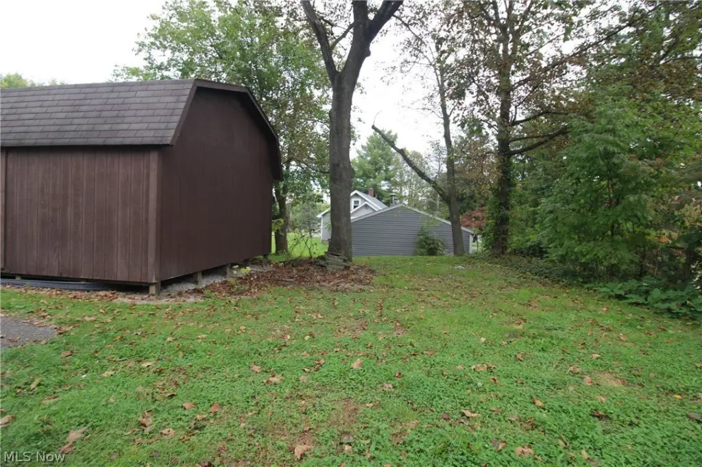 Picture 6