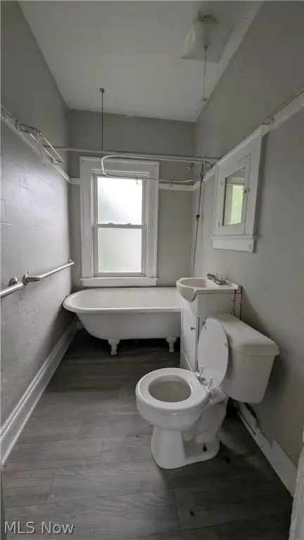 Picture 22