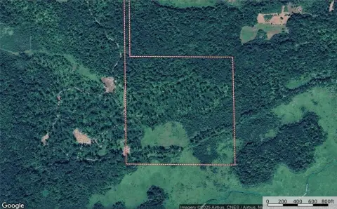 Prime Hunting Land Near Lake