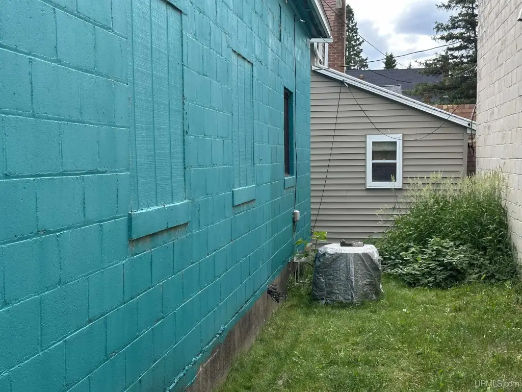 Picture 5