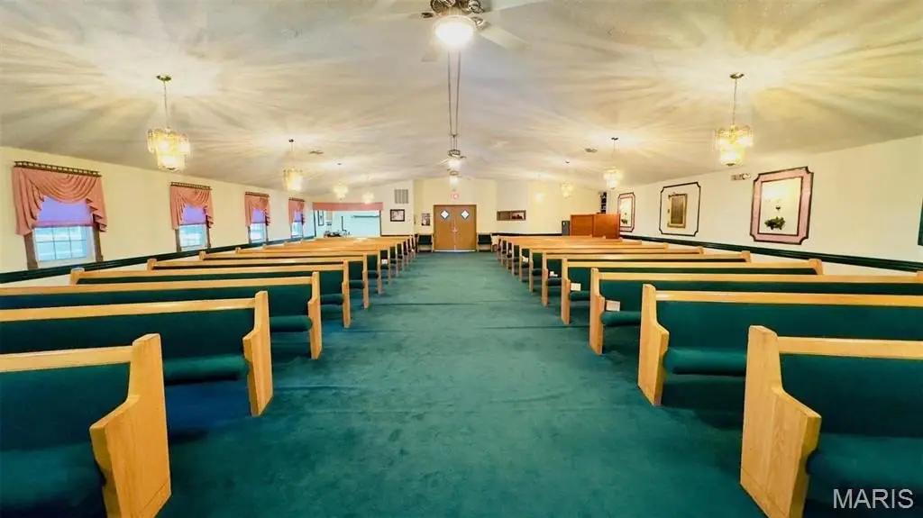 Picture 8