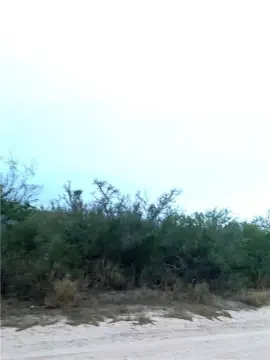 Land in San Diego, Texas