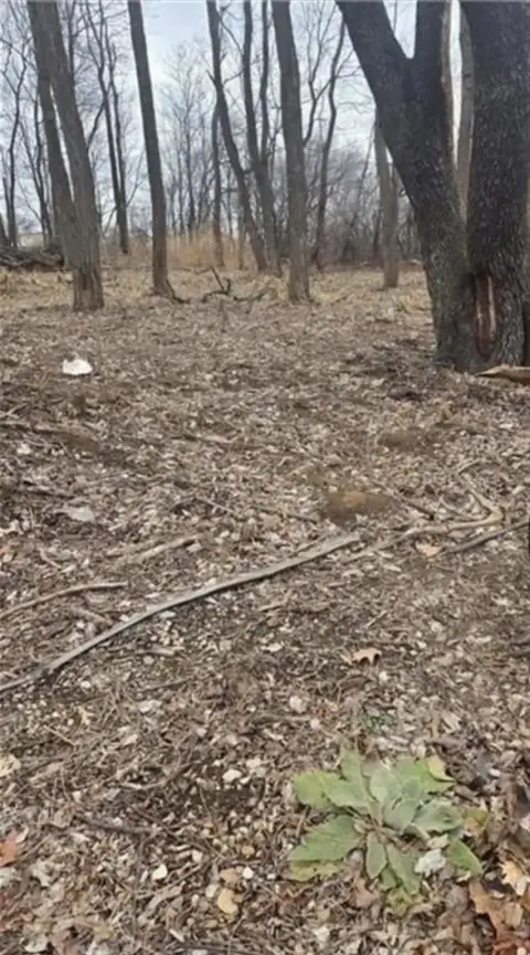 Residential Land in Normandy Estates