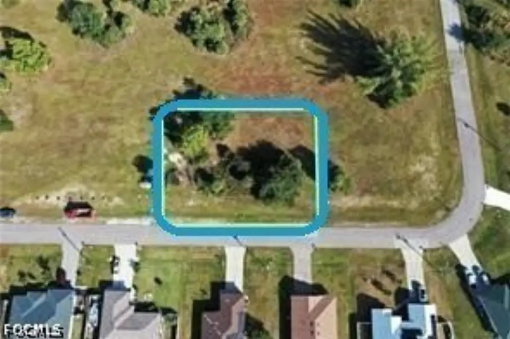 Picture 6