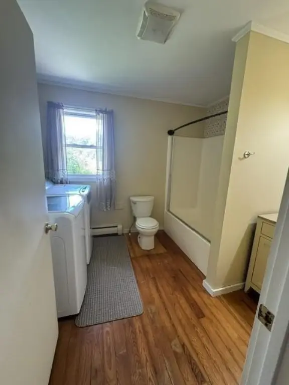 Picture 24