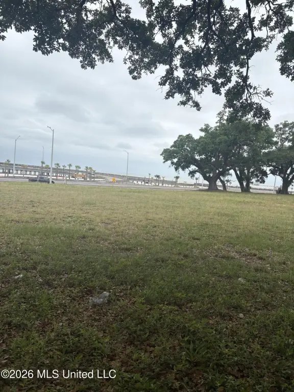 Picture 6