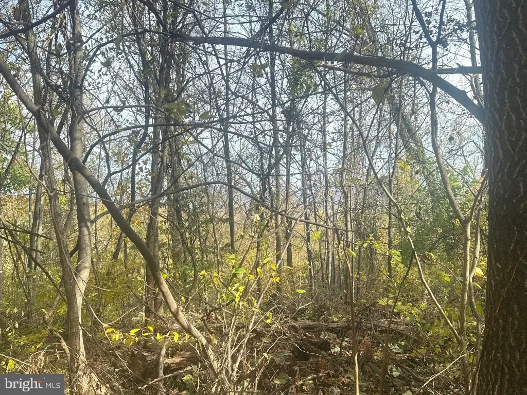 Picture 31