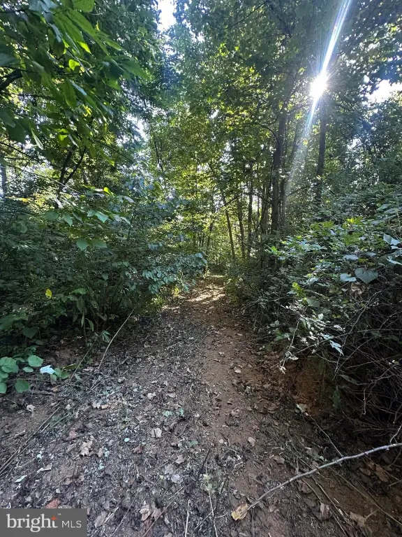 Picture 18