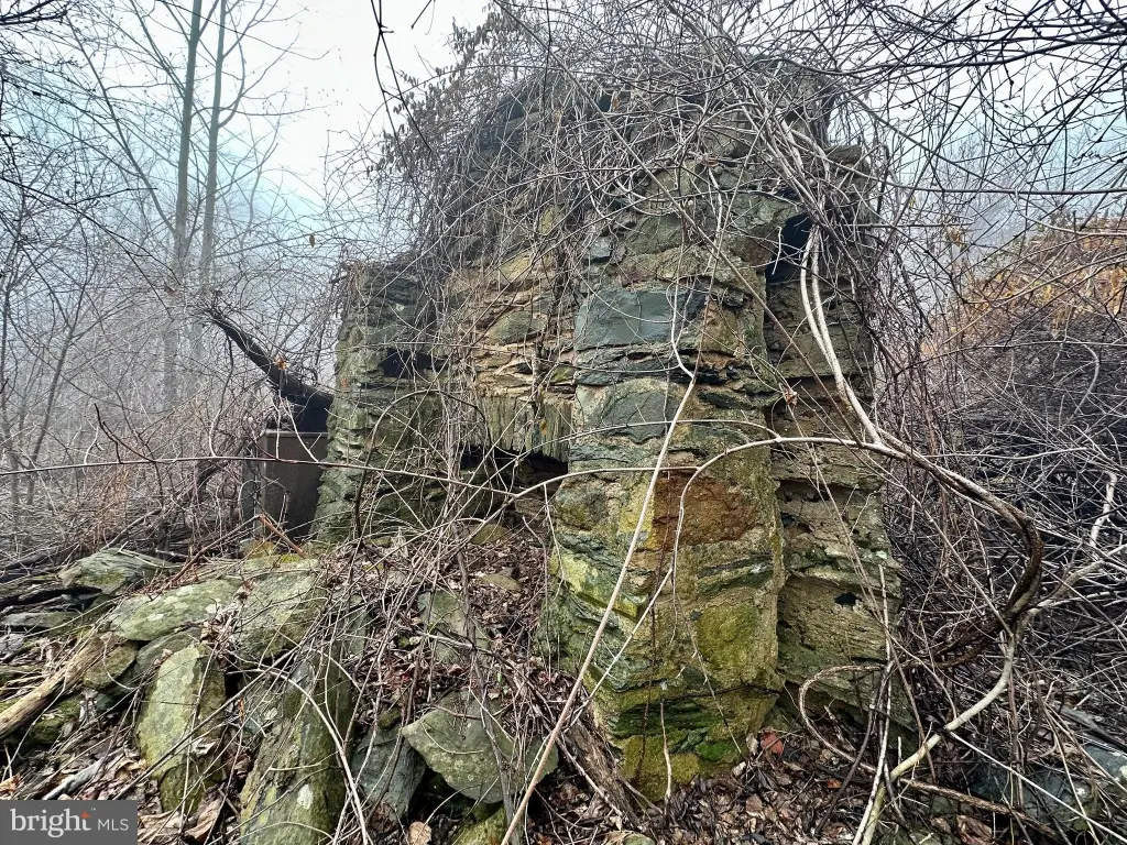 Picture 33