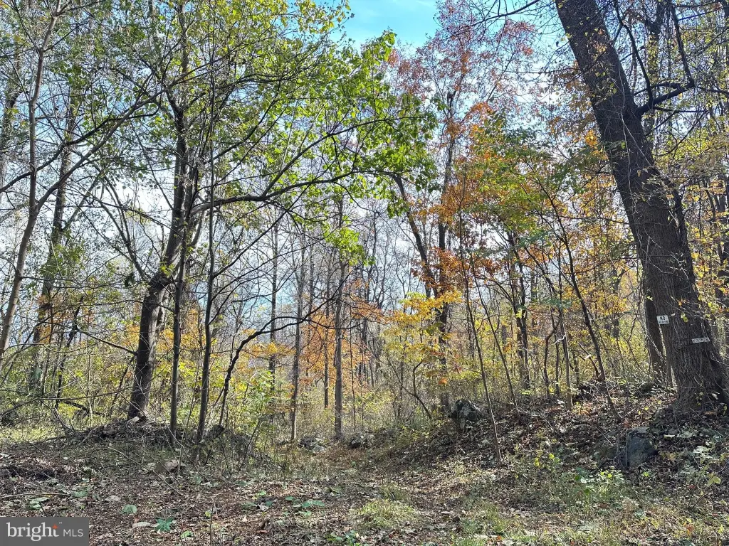 Picture 29