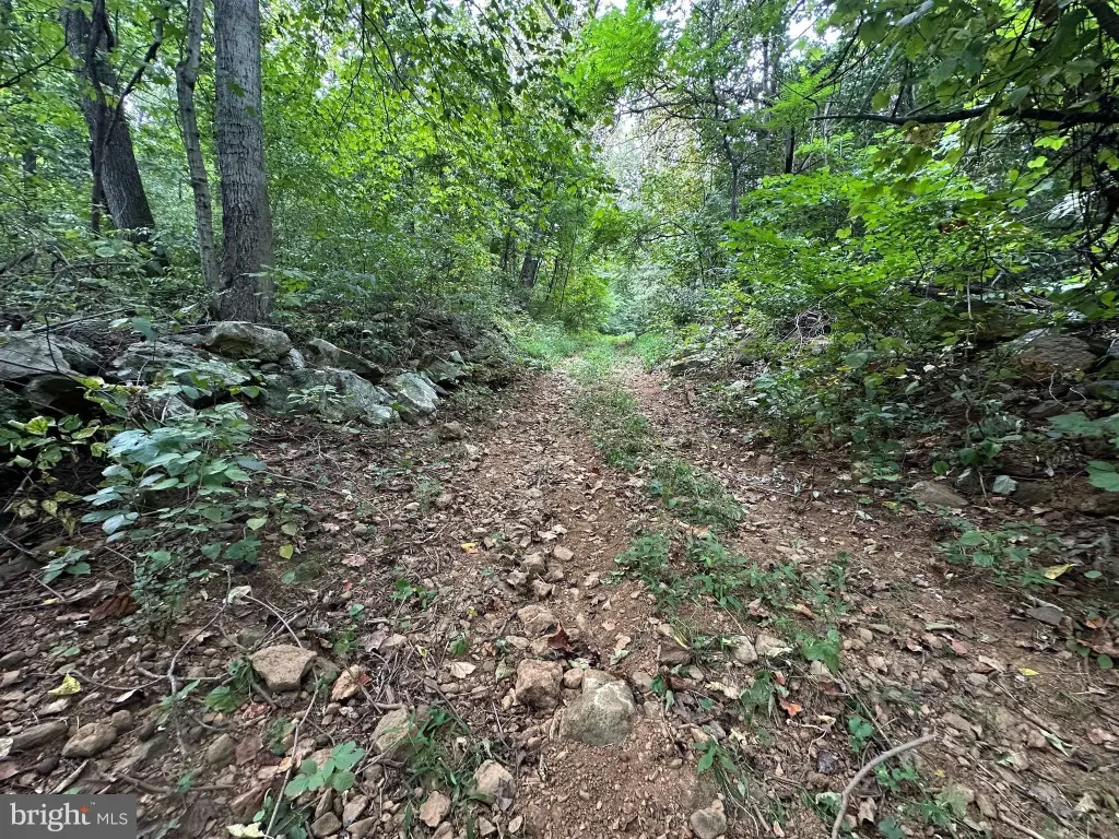 Picture 8