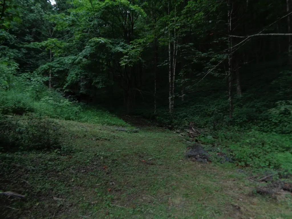Picture 4