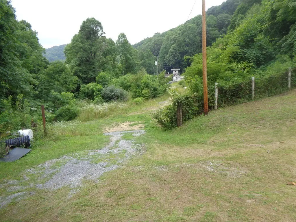 Picture 14