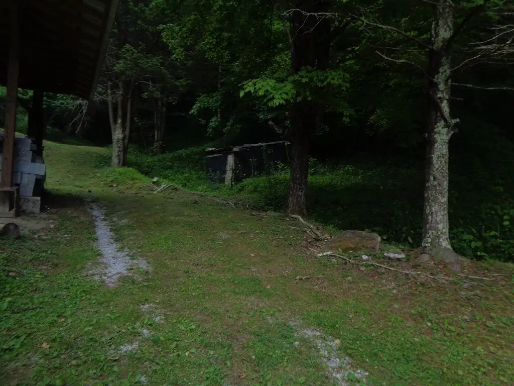 Picture 8