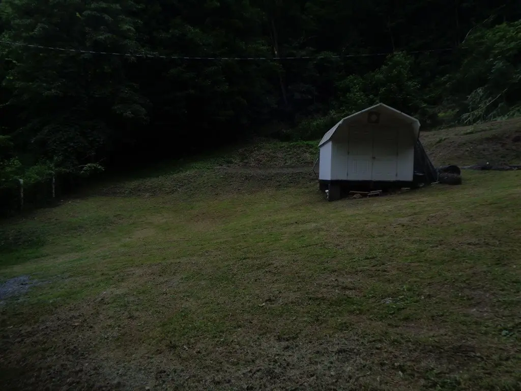 Picture 11