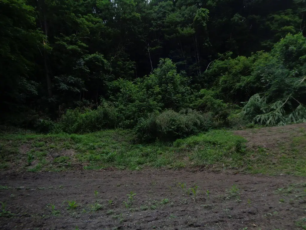 Picture 12