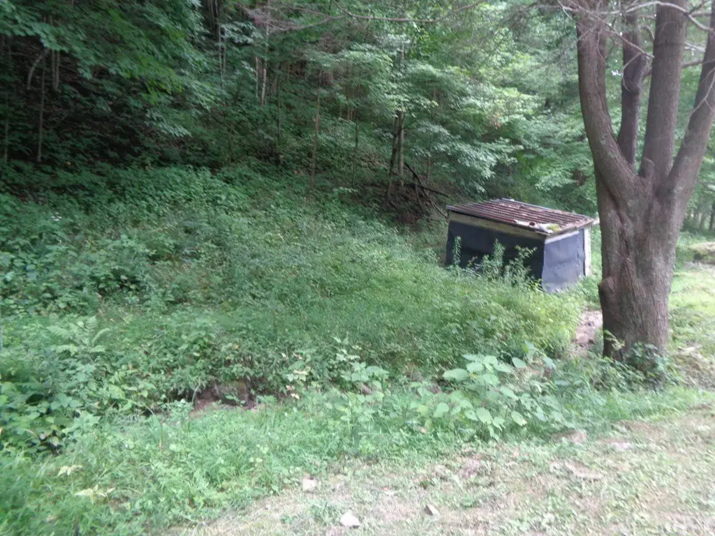 Picture 6