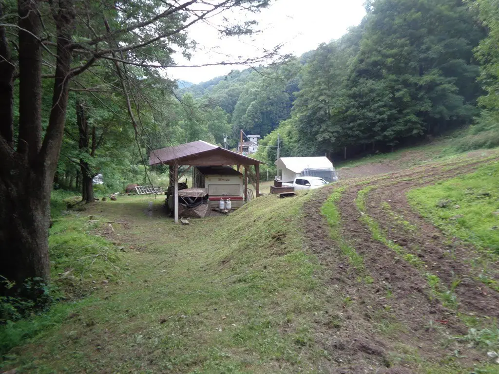 Picture 5