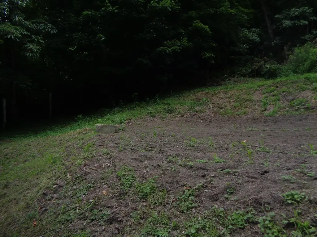 Picture 13