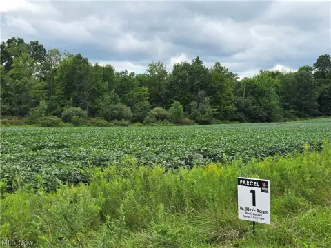 Wooded Land with Pond