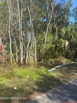 St. Augustine Wooded Lot