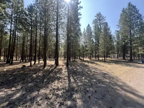 La Pine Wooded Lot