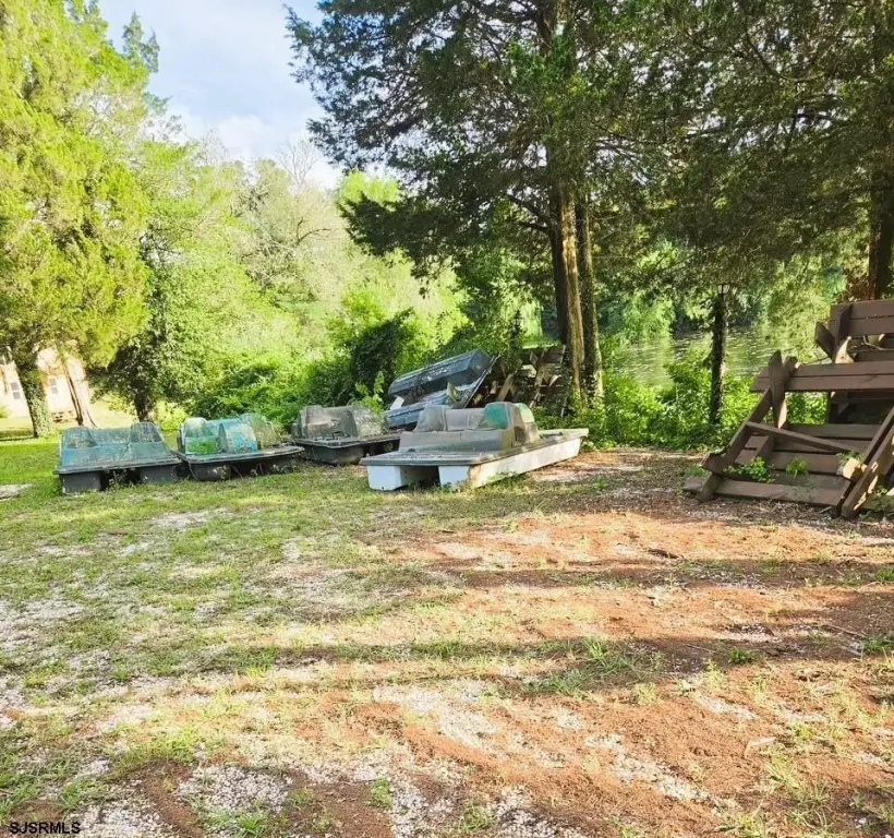 Picture 19