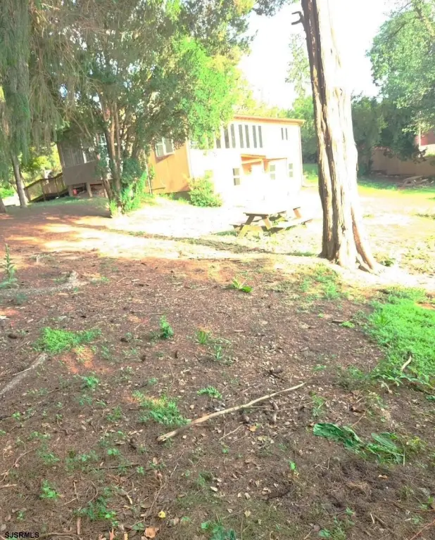 Picture 23