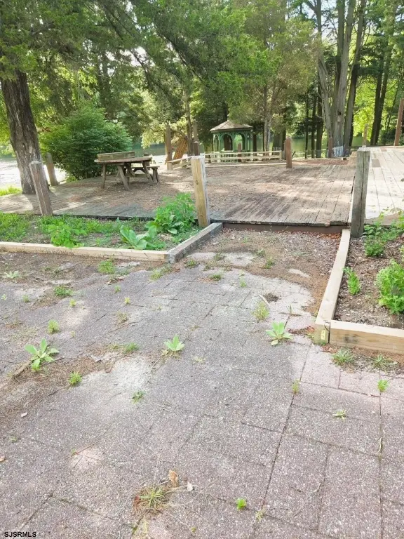 Picture 15