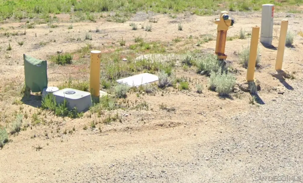 Picture 6