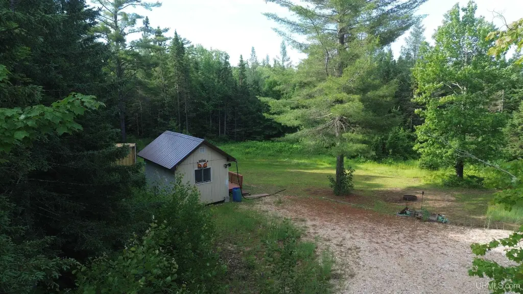 Picture 6