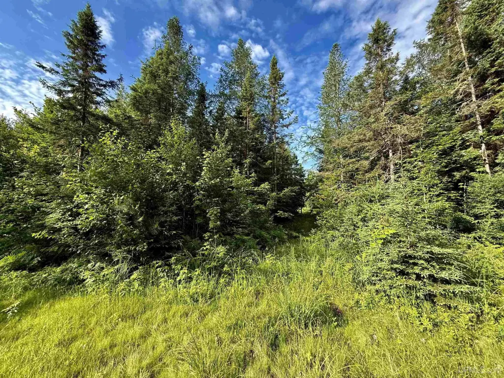 Picture 25