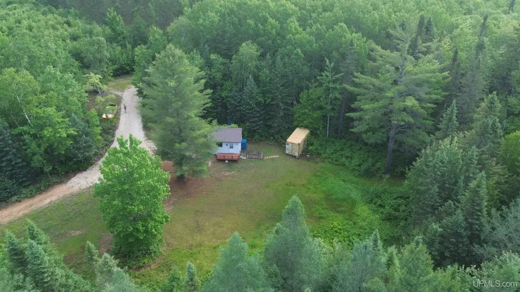 Picture 3
