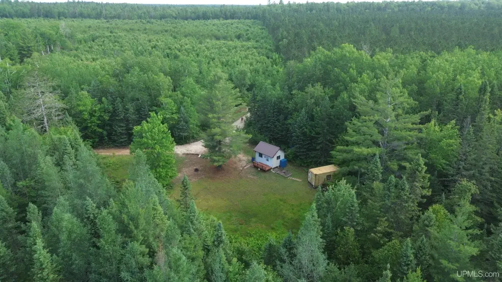 Picture 4