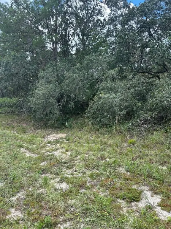 Picture 3