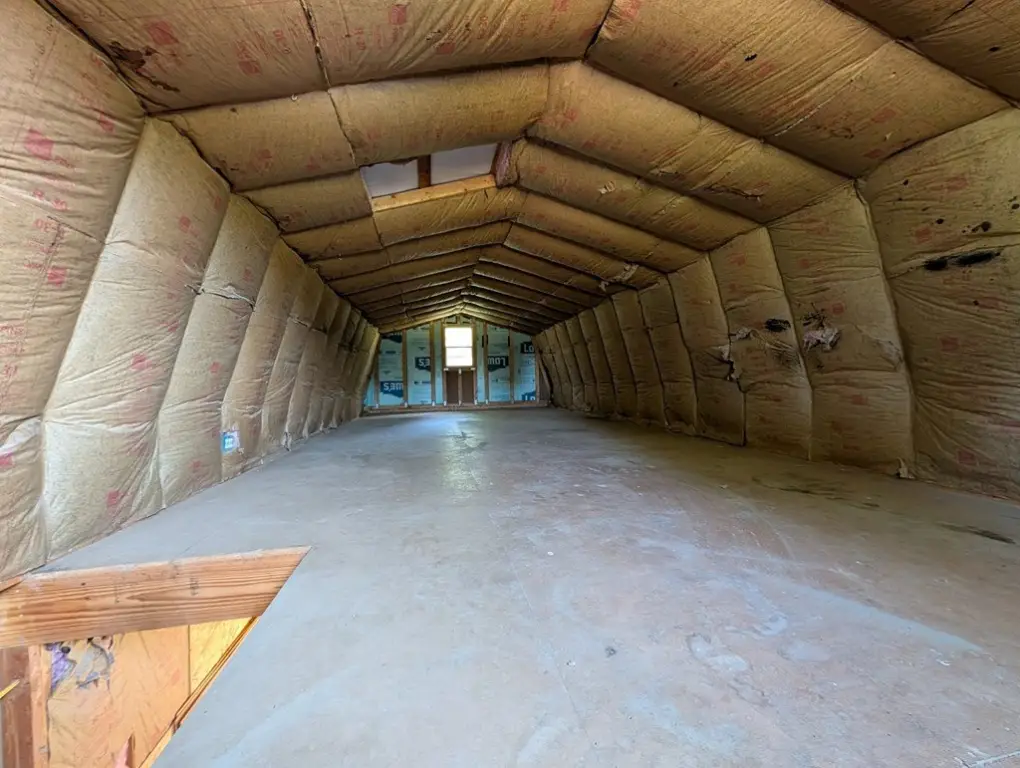 Picture 8