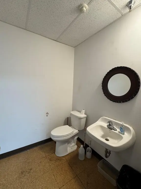 Picture 8