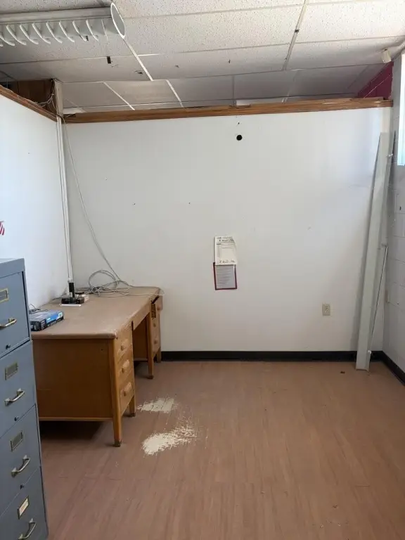 Picture 15
