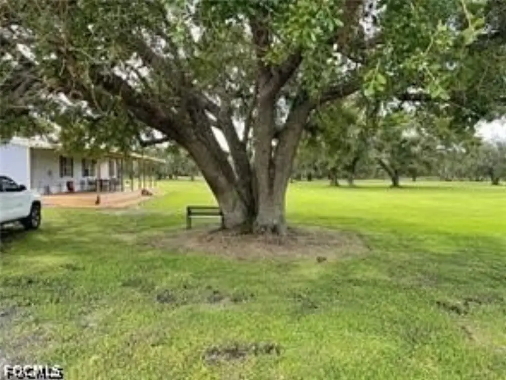 Picture 7